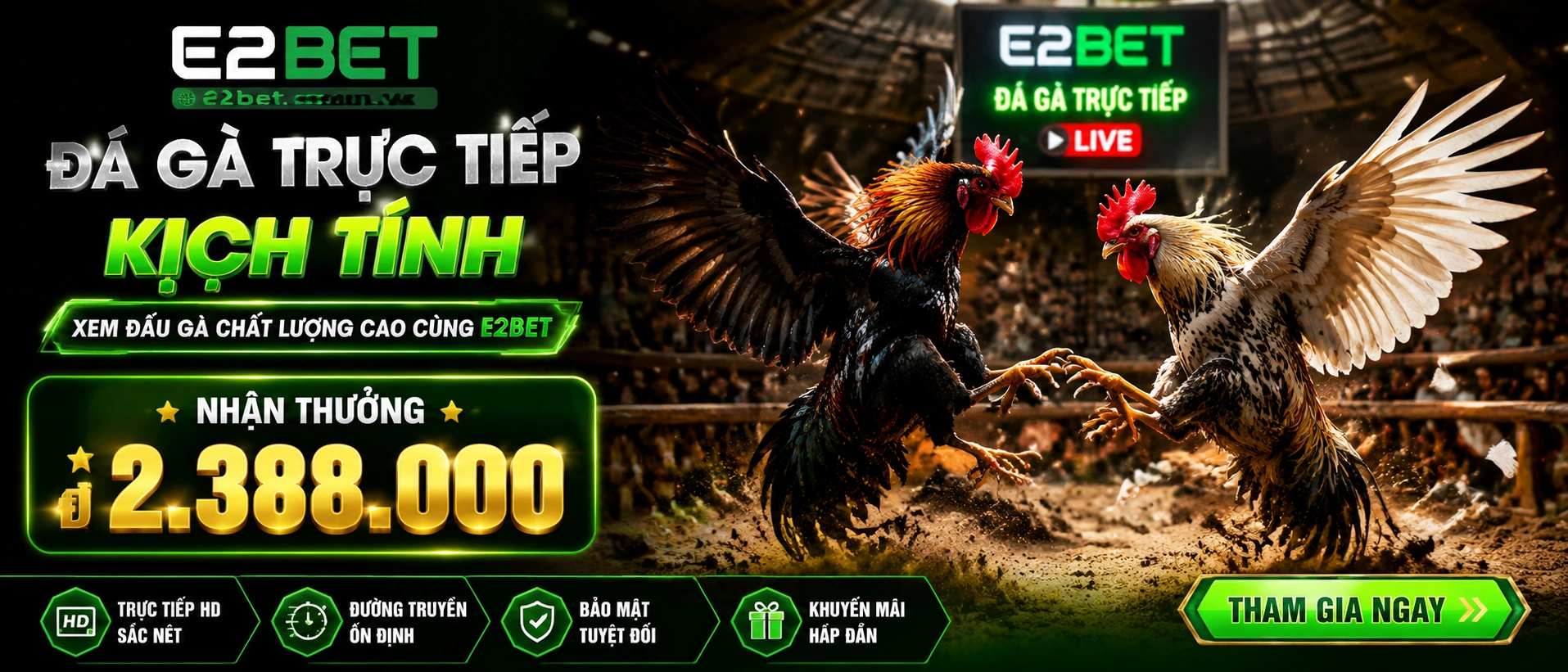 Không gian Đá Gà trực tiếp với phòng đấu live và giao diện xem trên mobile
